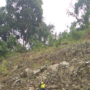 Gambar Lokasi 3 - LindungiHutan