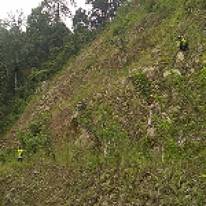 Gambar Lokasi 4 - LindungiHutan