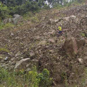 Gambar Lokasi 2 - LindungiHutan