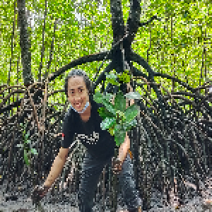 Keseruan menanam mangrove