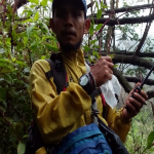 Penggerak LindungiHutan - Dian Asmuni