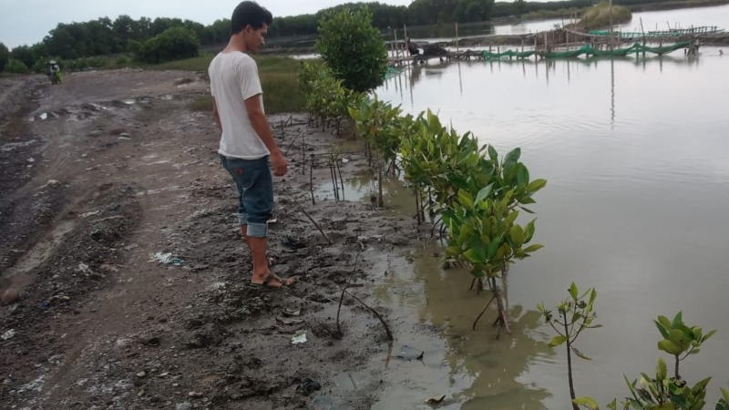 Gambar Monitoring