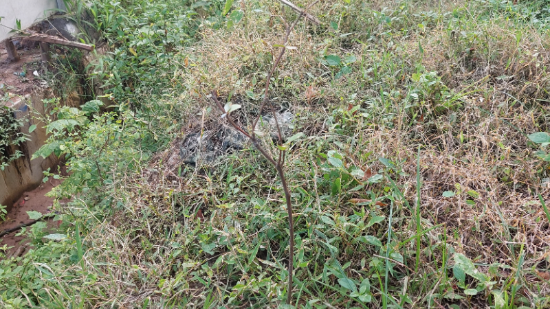 Gambar Monitoring