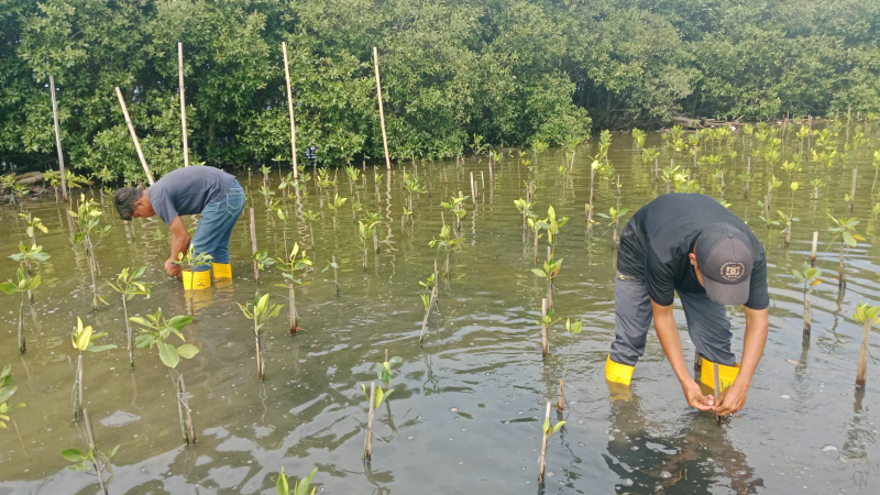 Gambar Monitoring
