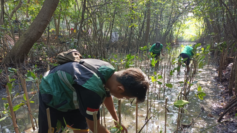 Gambar Monitoring