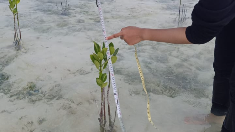 Gambar Monitoring