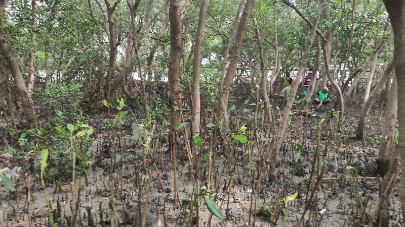 Gambar Monitoring