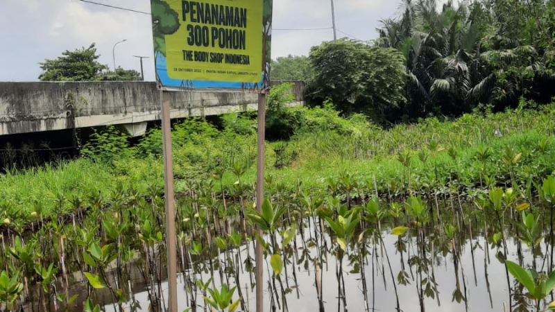 Gambar Monitoring