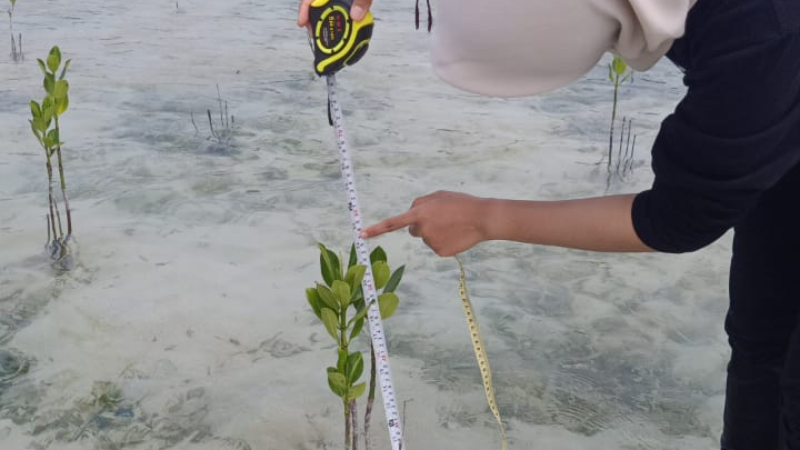 Gambar Monitoring