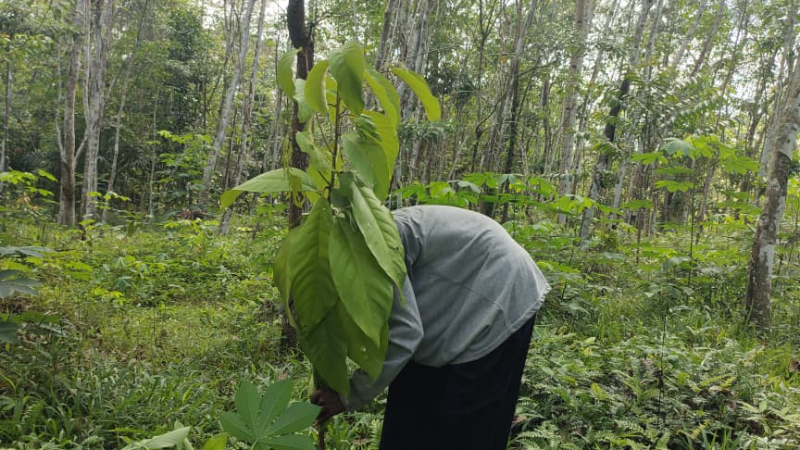 Gambar Monitoring