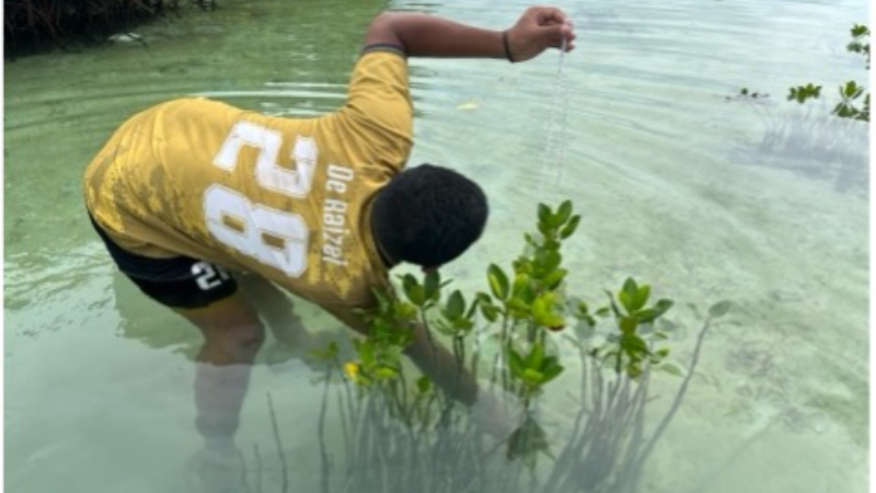 Gambar Monitoring