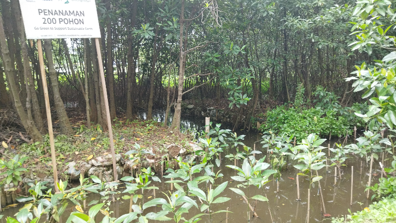 Gambar Monitoring