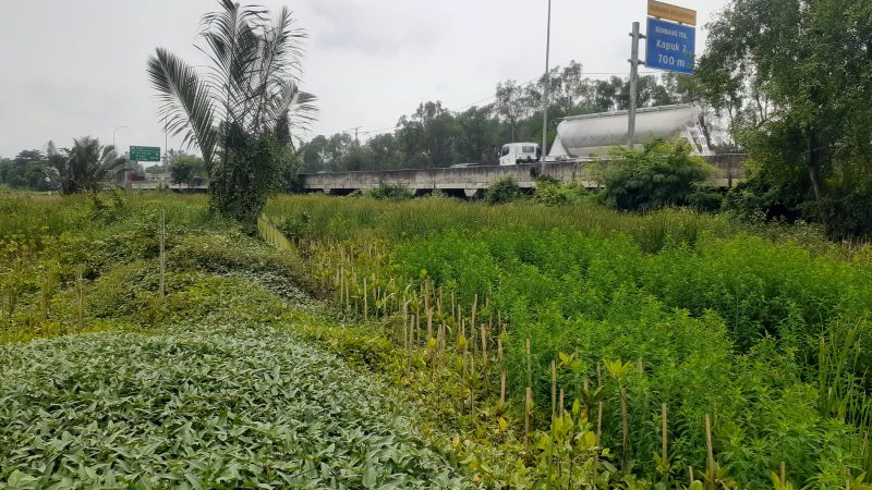 Gambar Monitoring