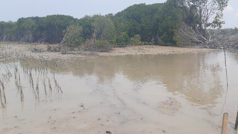Gambar Monitoring