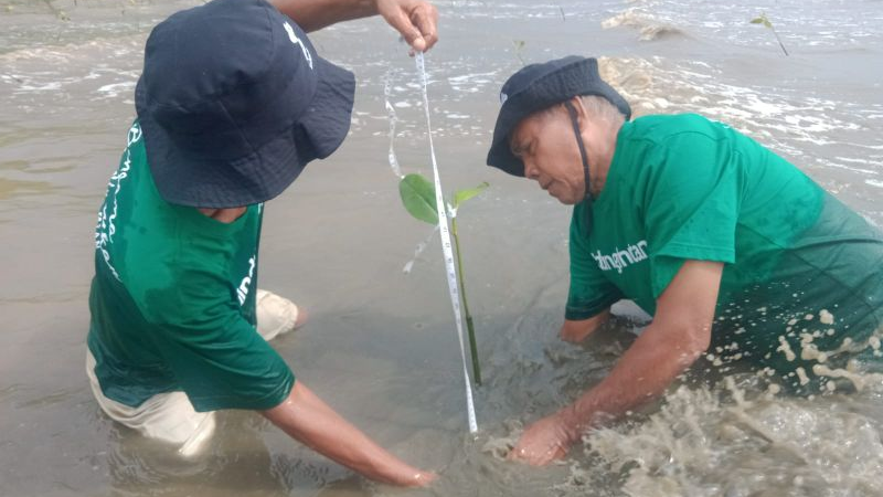 Gambar Monitoring