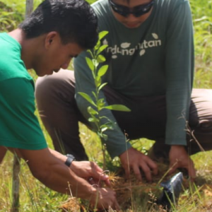 Gambar Monitoring