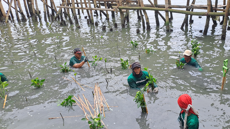 Gambar Monitoring