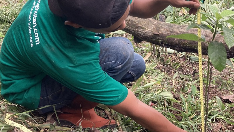 Gambar Monitoring