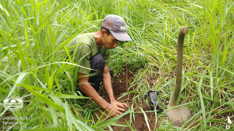 Gambar Monitoring