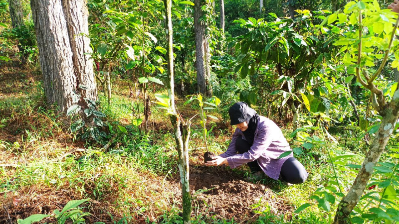 Gambar Monitoring