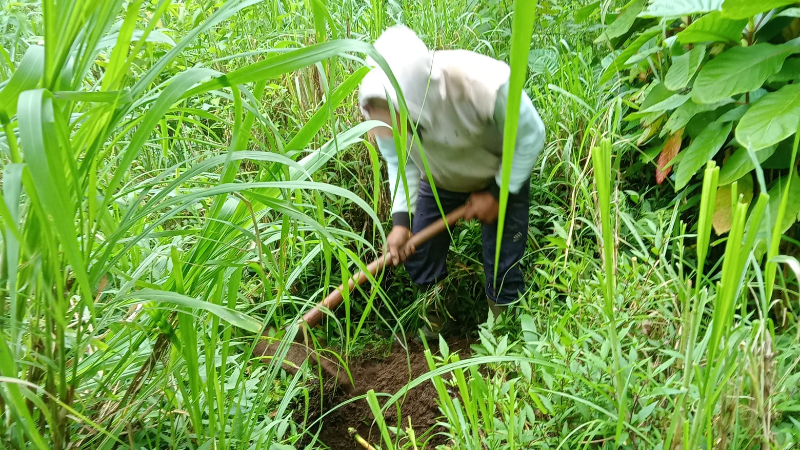 Gambar Monitoring