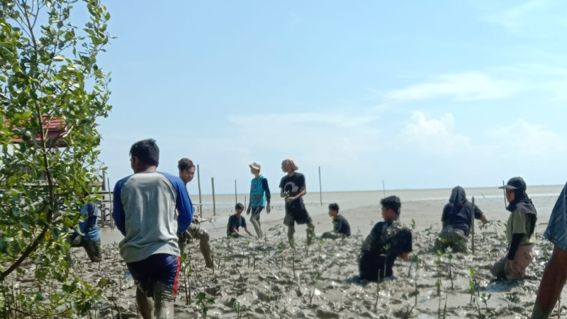 Gambar Monitoring