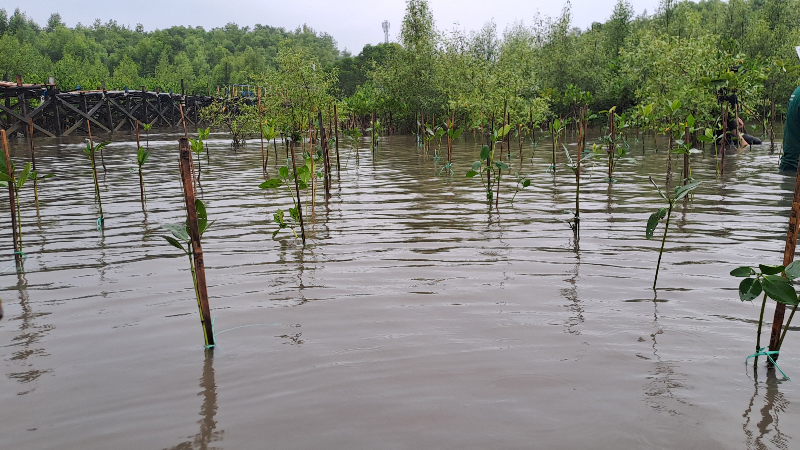 Gambar Monitoring