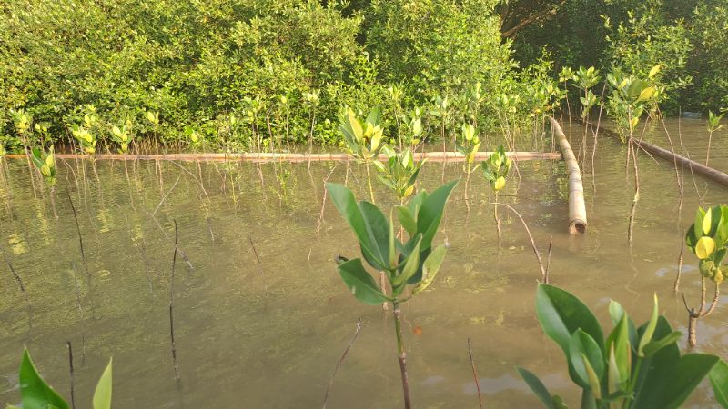 Gambar Monitoring