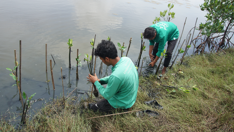 Gambar Monitoring