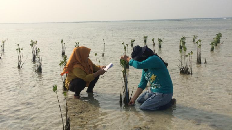 Gambar Monitoring