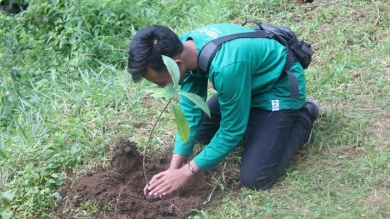 Gambar Monitoring