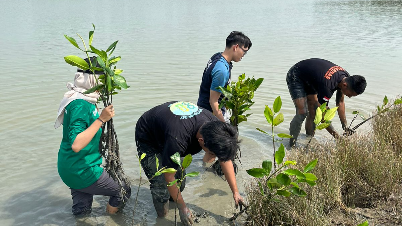 Gambar Monitoring