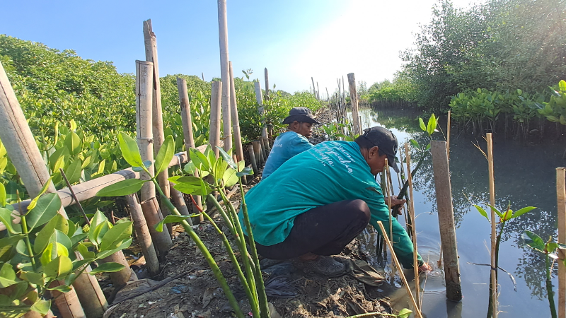 Gambar Monitoring