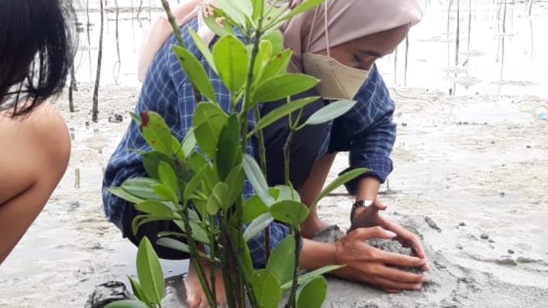 Gambar Monitoring