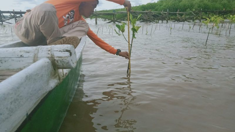 Gambar Monitoring