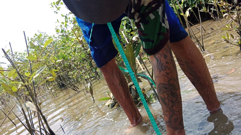Gambar Monitoring