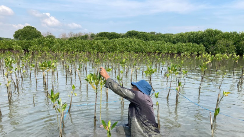 Gambar Monitoring