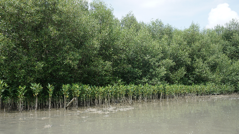 Gambar Monitoring