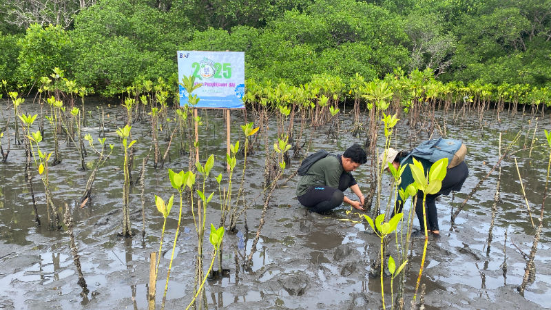 Gambar Monitoring