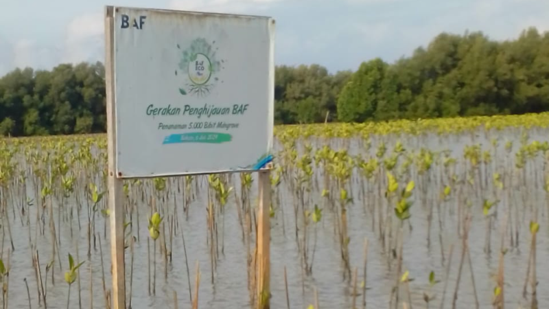 Gambar Monitoring