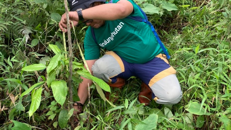 Gambar Monitoring