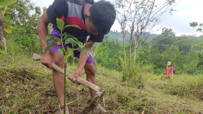 Gambar Monitoring