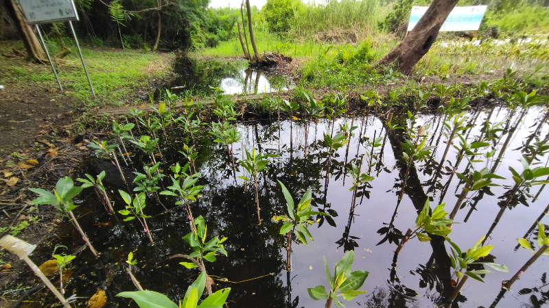 Gambar Monitoring