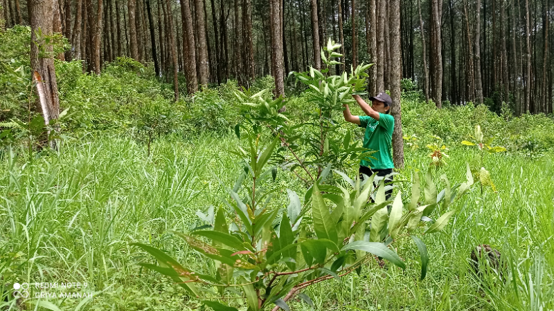 Gambar Monitoring