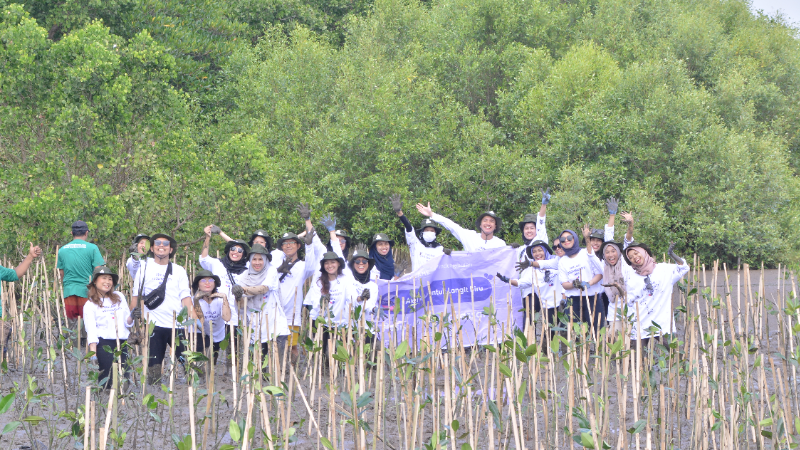 Gambar Monitoring