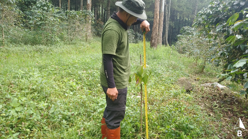 Gambar Monitoring