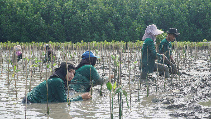 Gambar Monitoring