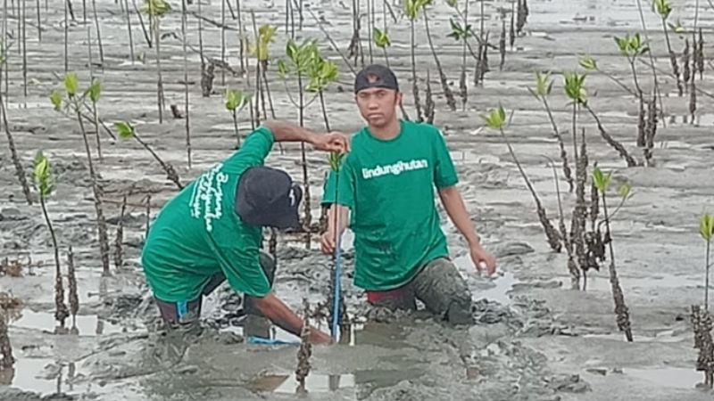 Gambar Monitoring