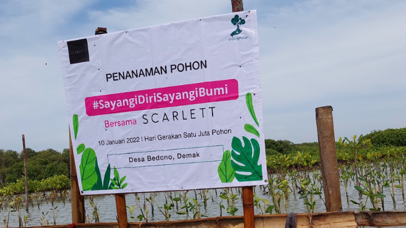 Gambar Monitoring