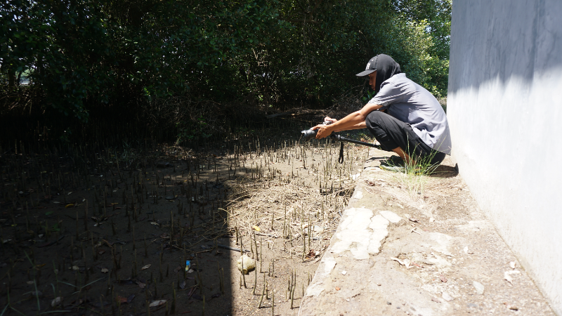 Gambar Monitoring